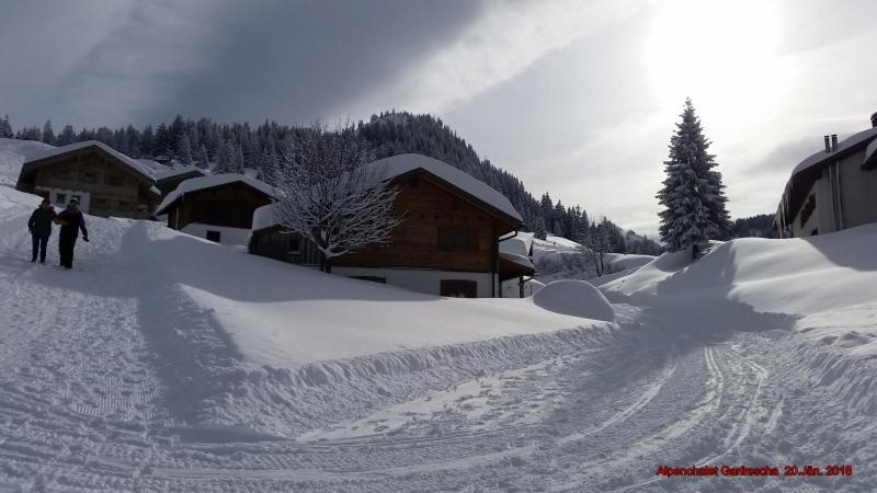 Вилла Alpenchalet Garfrescha Санкт-Галленкирх Экстерьер фото